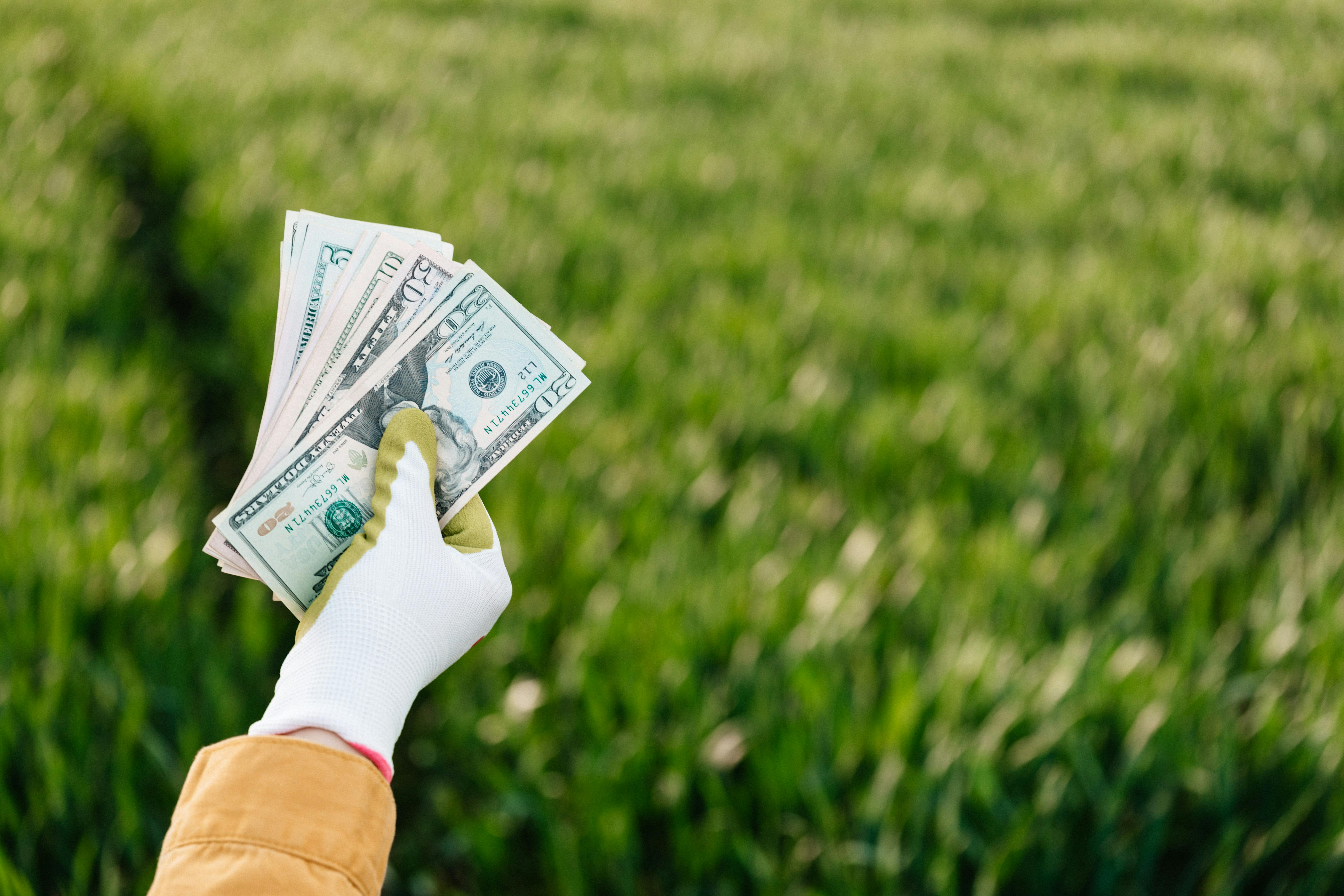 What is Money? Understanding Its Role in Our Lives
